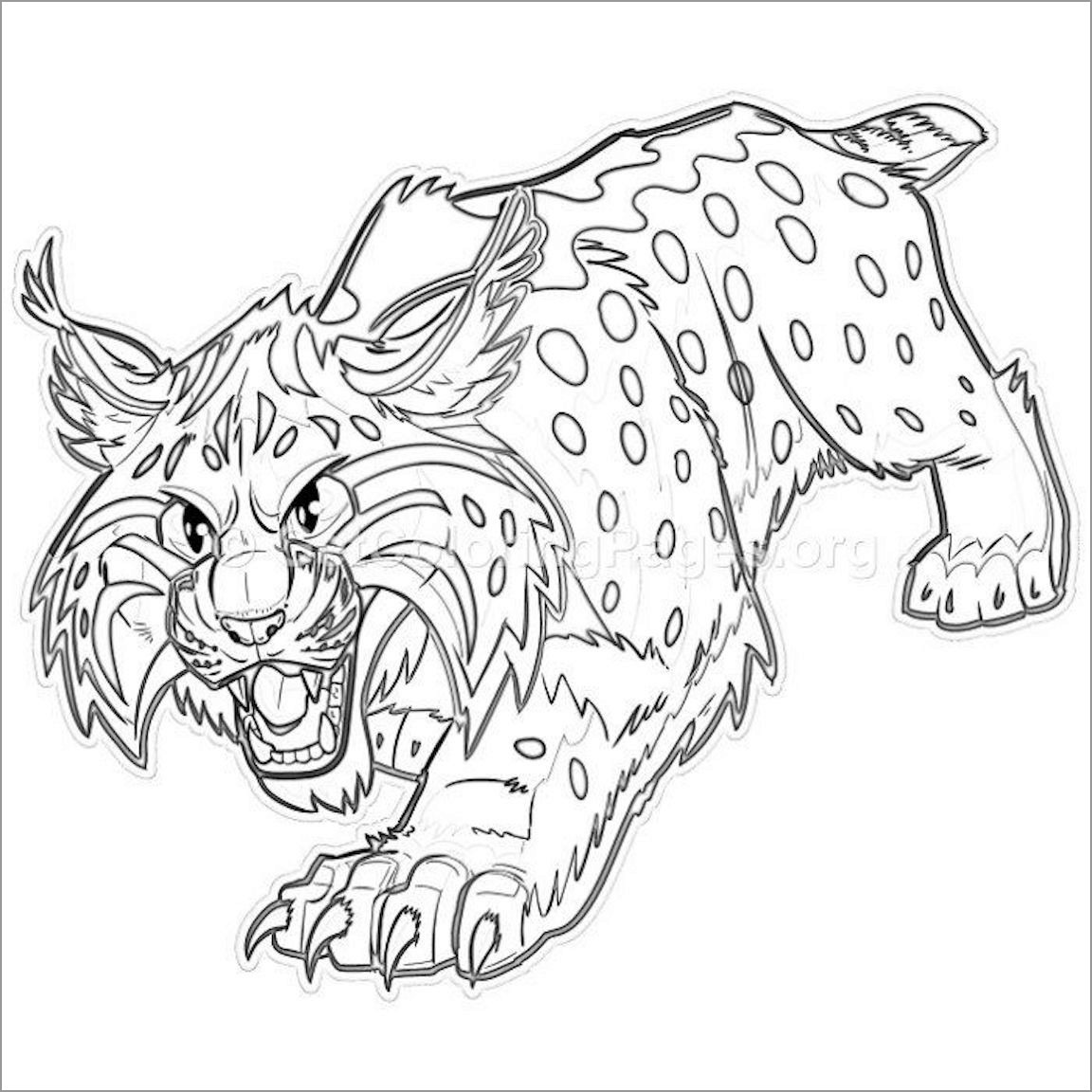 Wildcat Coloring Page for Kids Wildcat Coloring Page for Kids