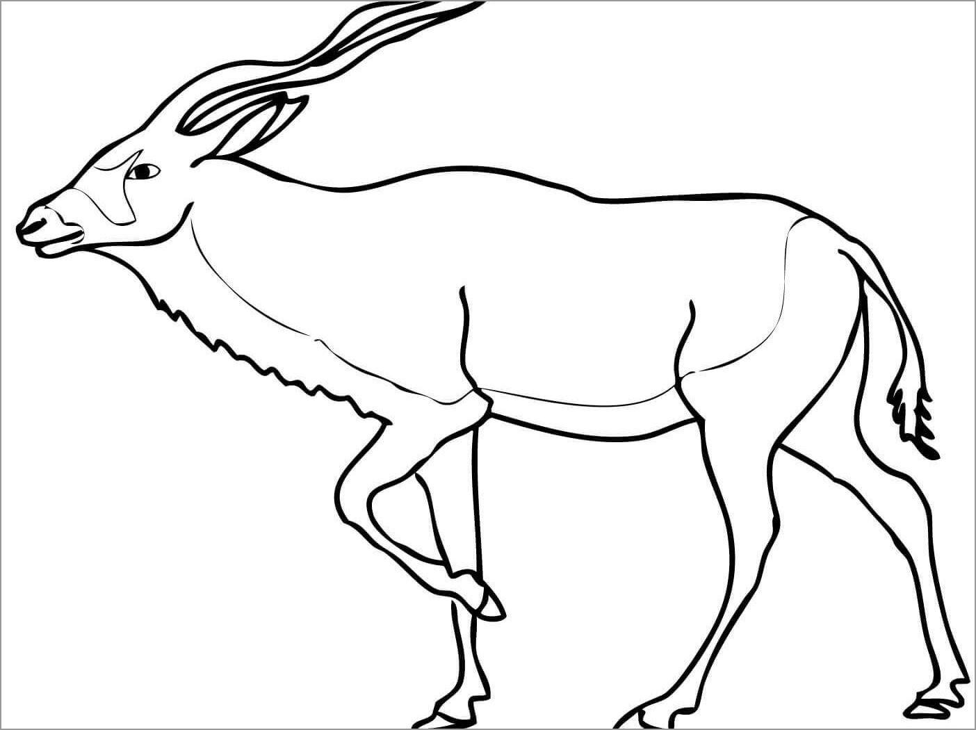 Wildebeest African Coloring Page