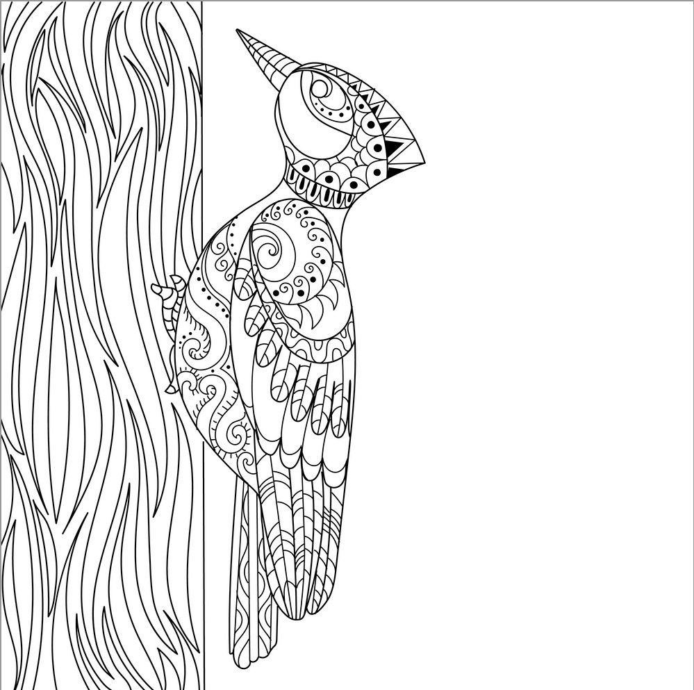 Woodpecker Coloring Page for Adult