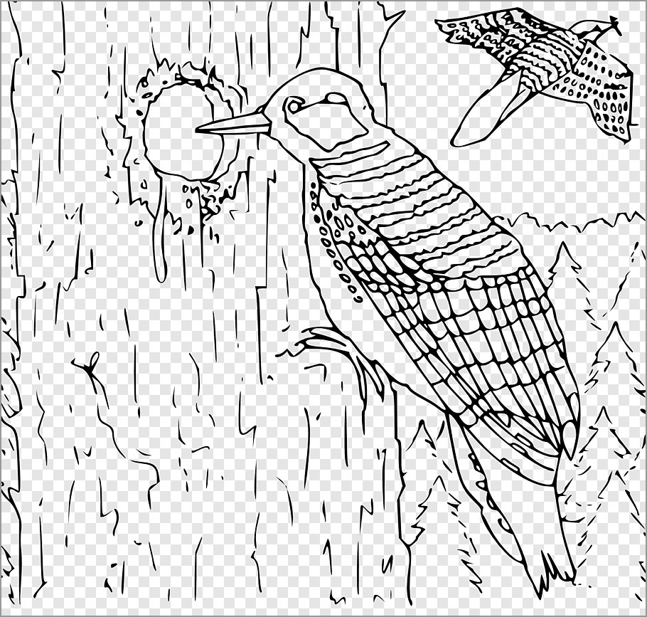 Woodpecker Coloring Page for Kids