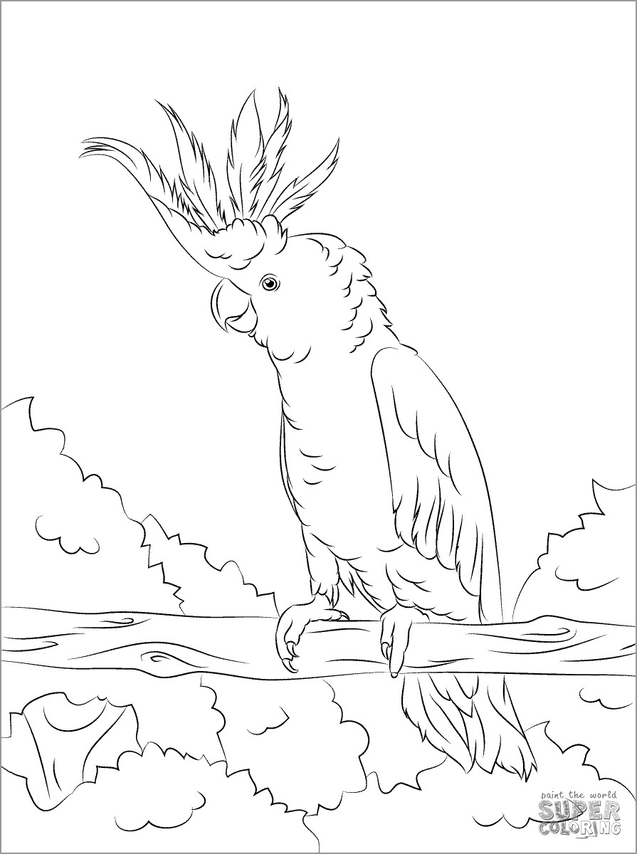 Yellow Crested Cockatoo Coloring Page