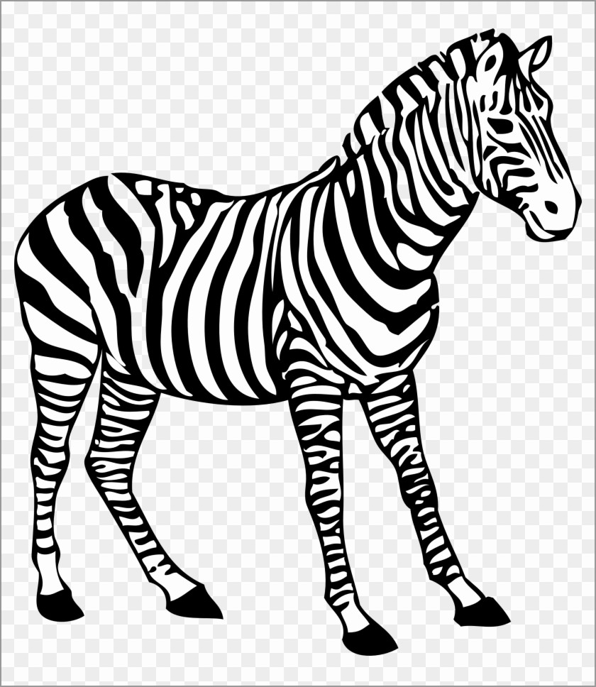 Zebra Head Coloring Page to Print