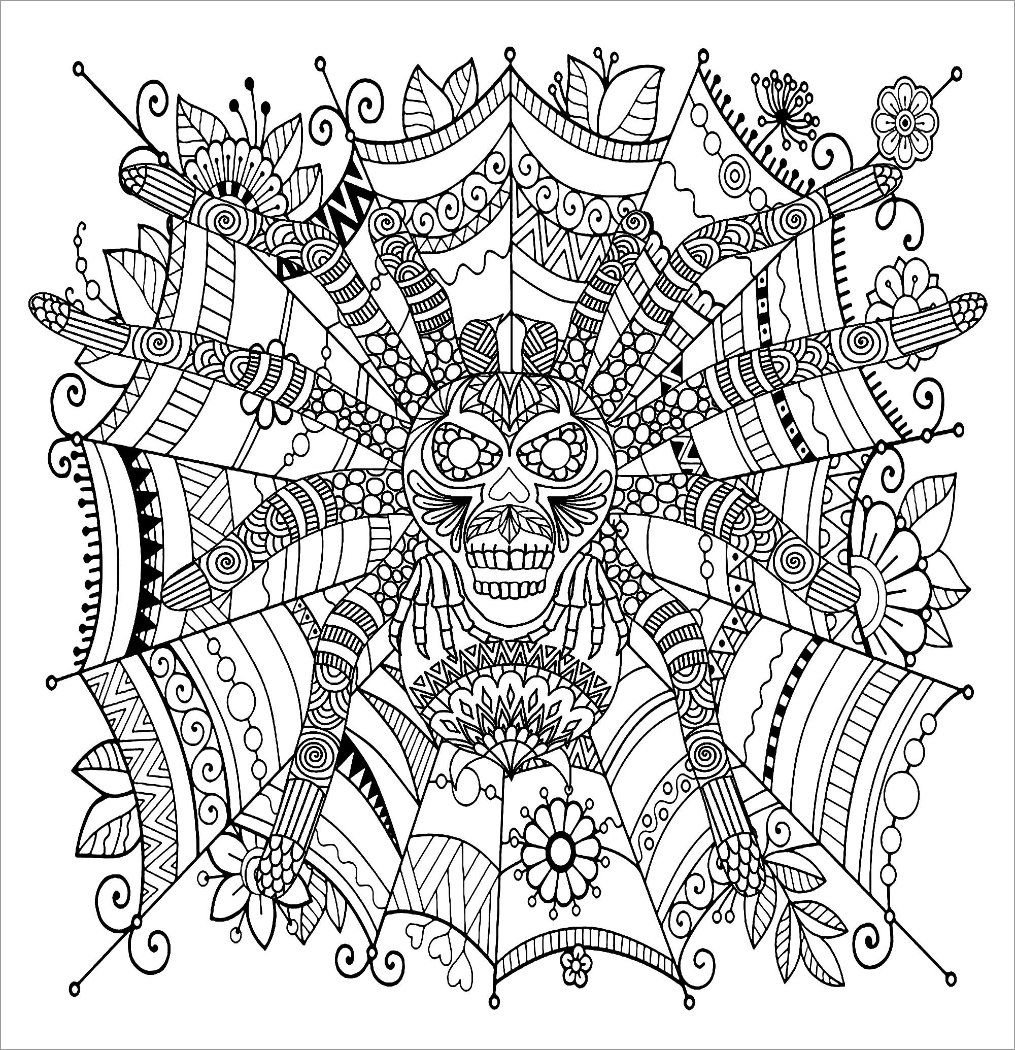 Zentangle Mandala Tarantula Coloring Page