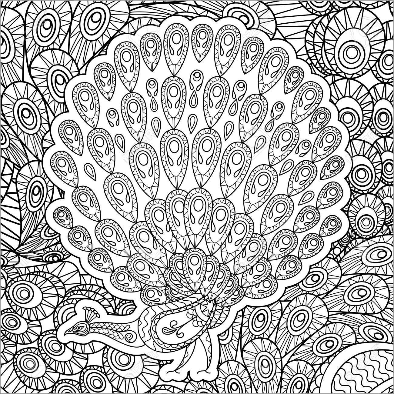 Zentangle Peacock Coloring Pages