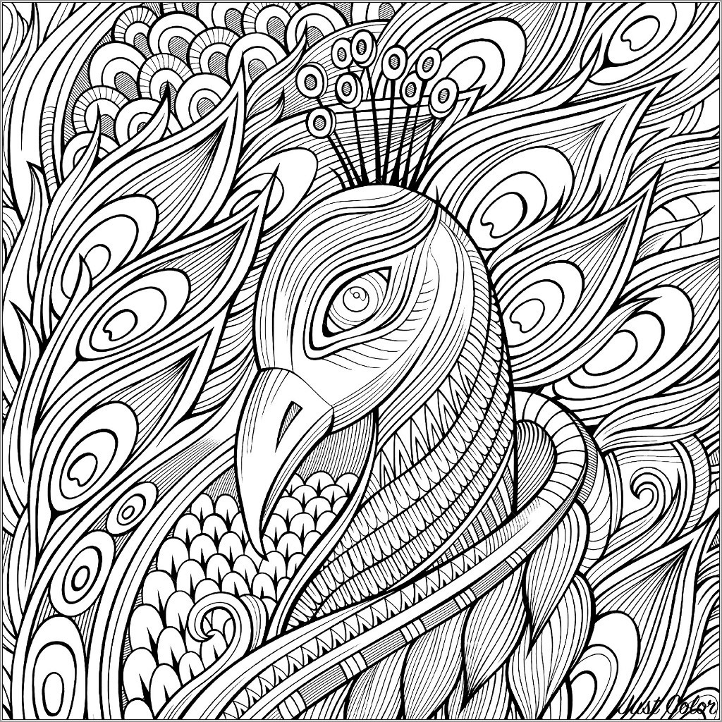 Zentangle Peacock Head Coloring Pages