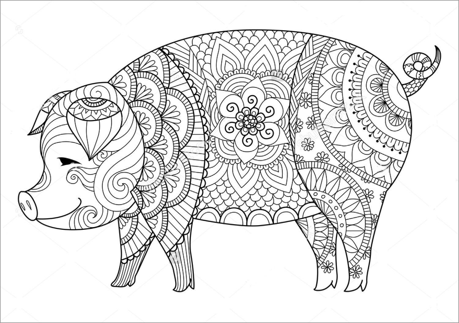 Zentangle Pork Coloring Page for Adults