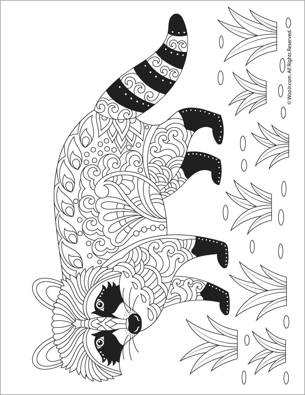 Zentangle Raccoon Coloring Page for Adult