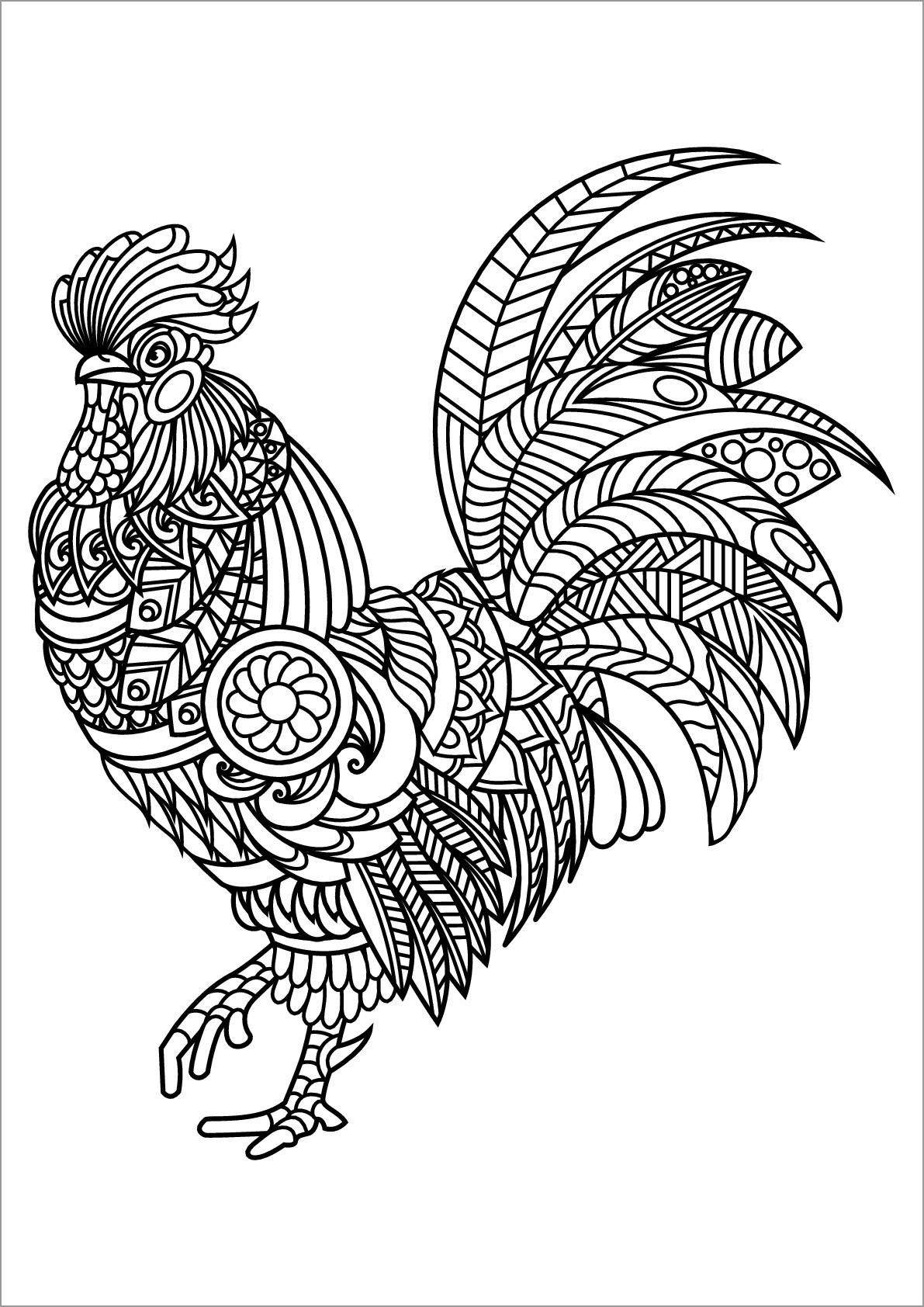 Zentangle Rooster Coloring Page for Adult