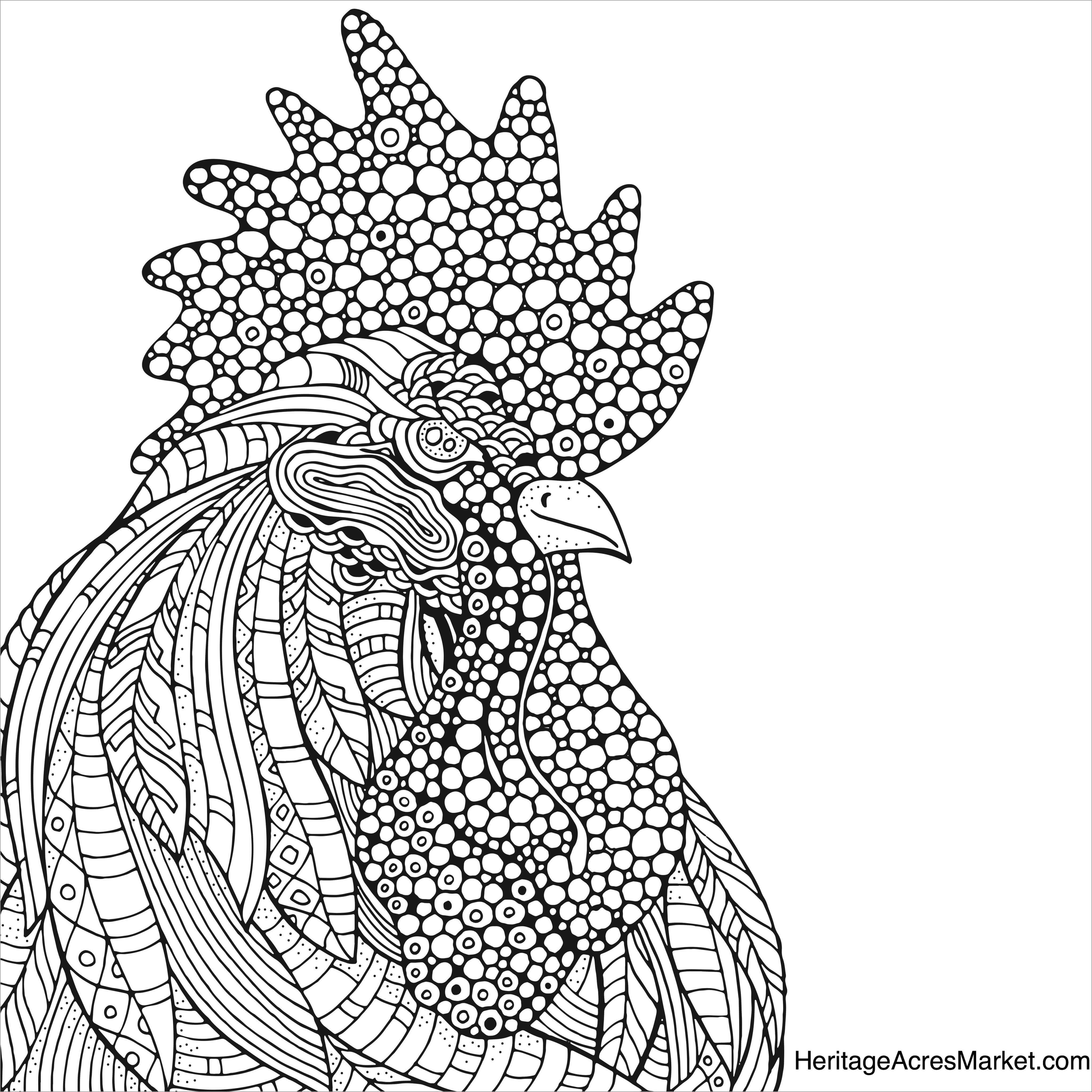 Zentangle Rooster Head Coloring Page for Adult
