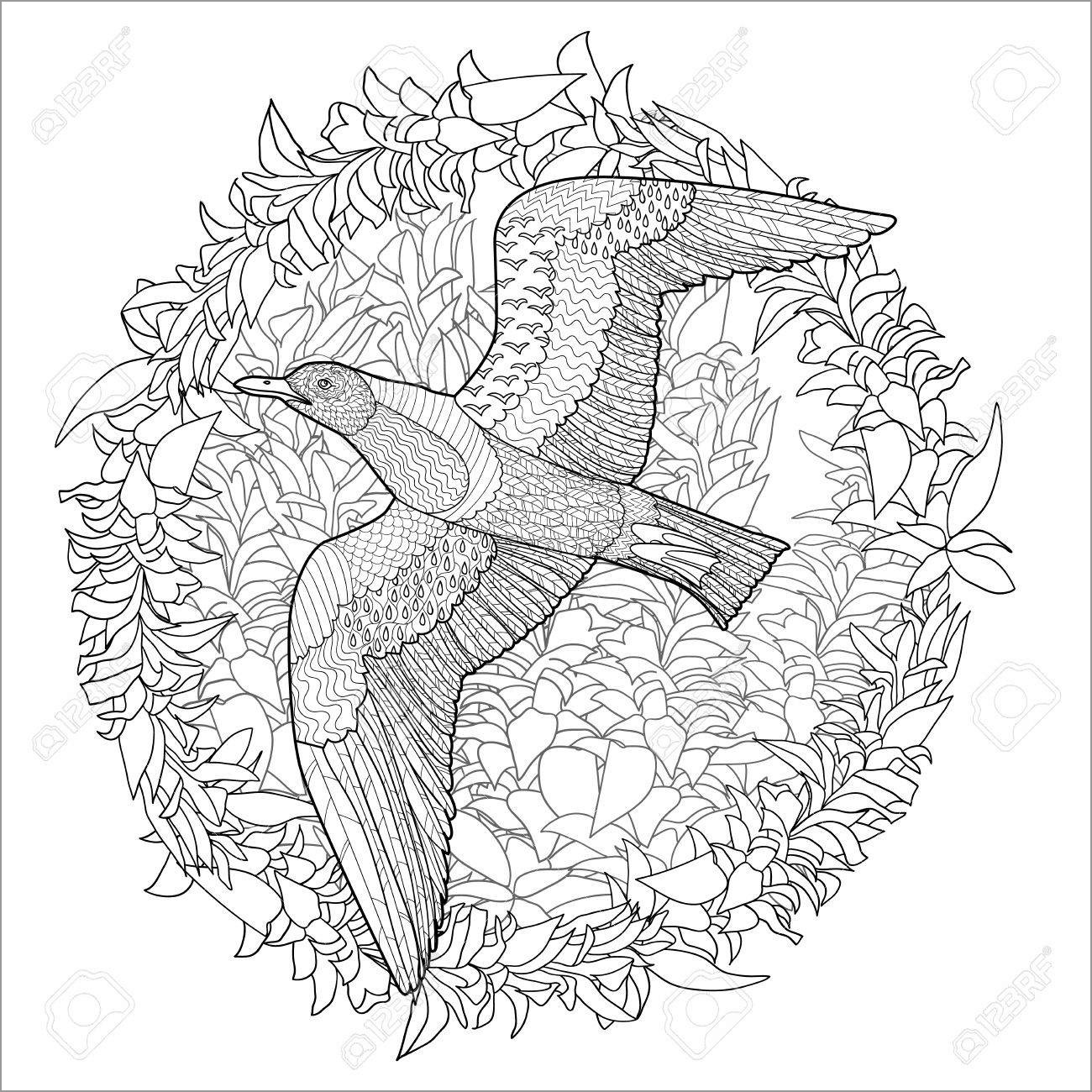 Zentangle Seagulls Coloring Page