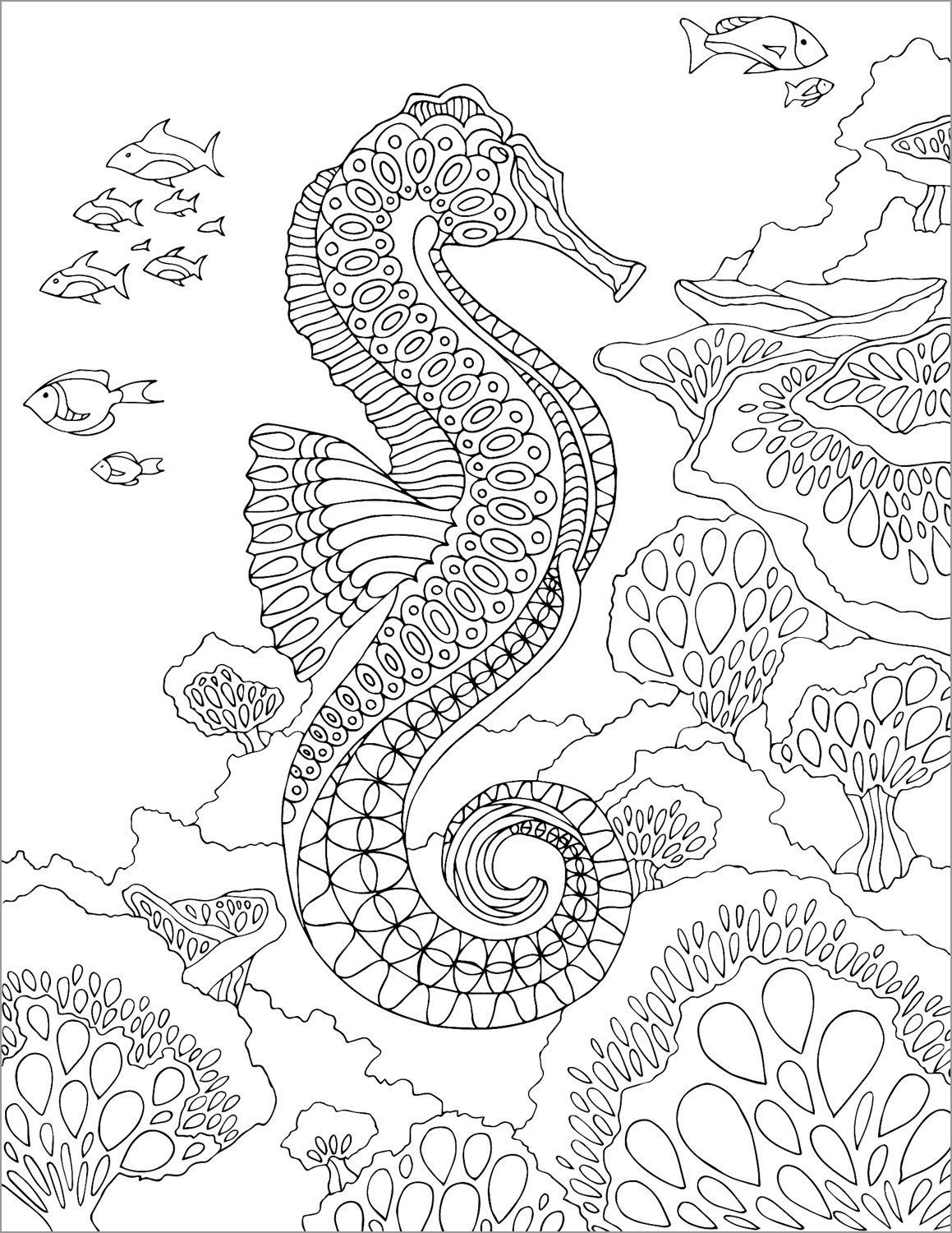 Zentangle Seahorse Coloring Page for Adult