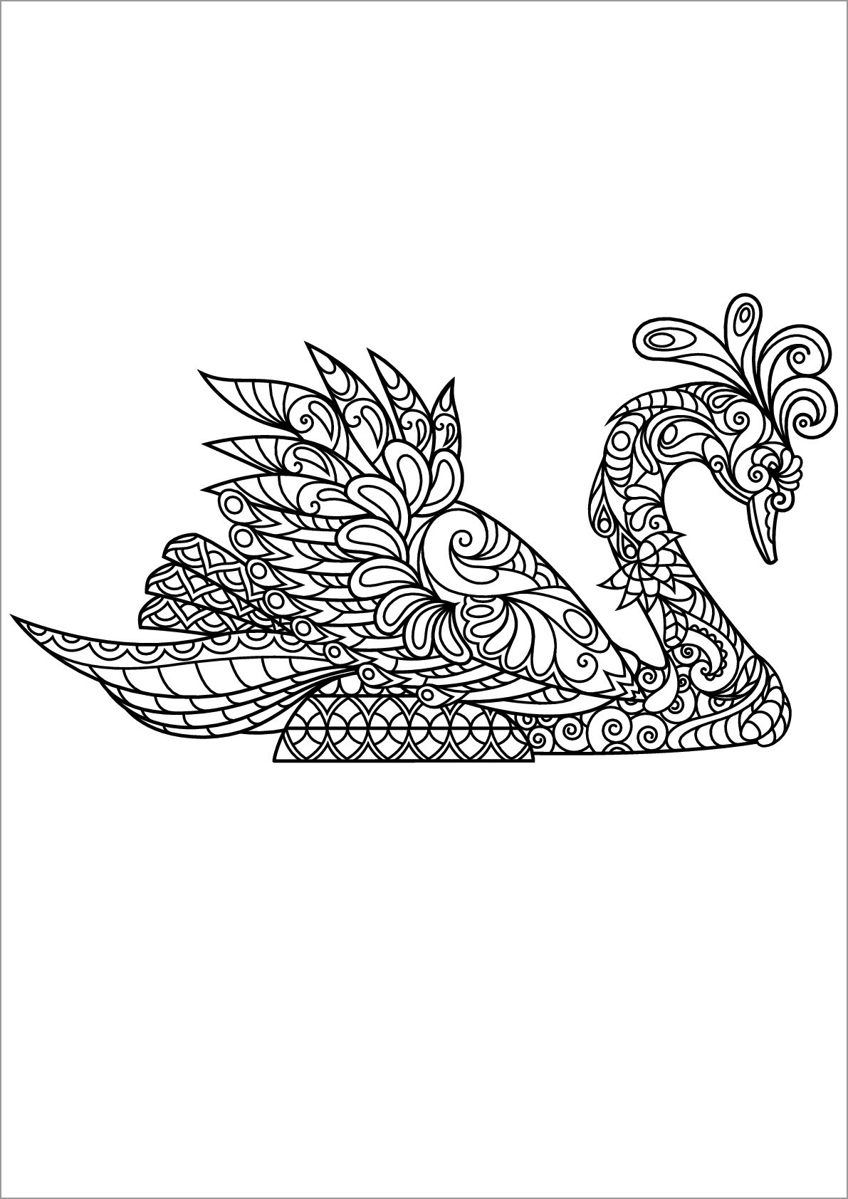 Zentangle Swan Mandala Coloring Page for Adult