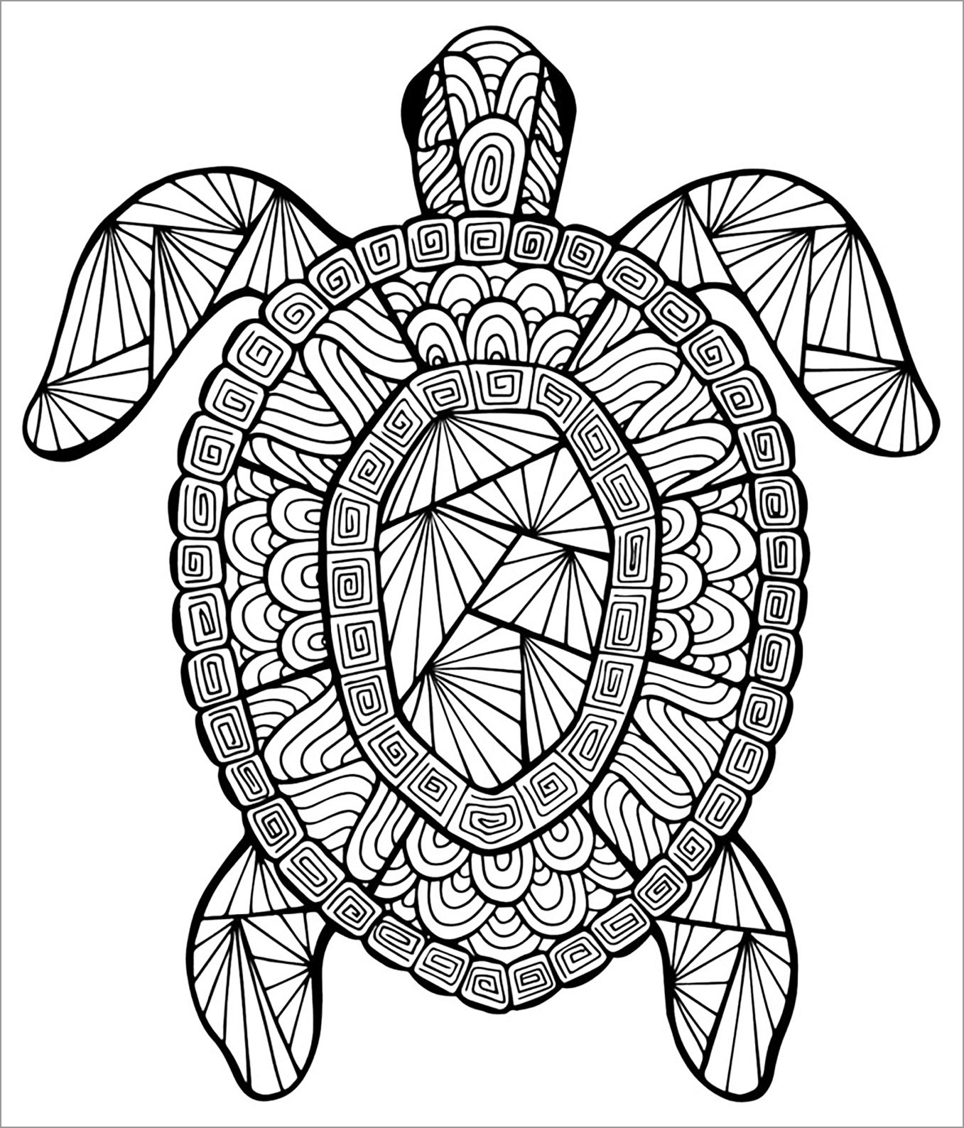 Zentangle tortoise Coloring Page to Print