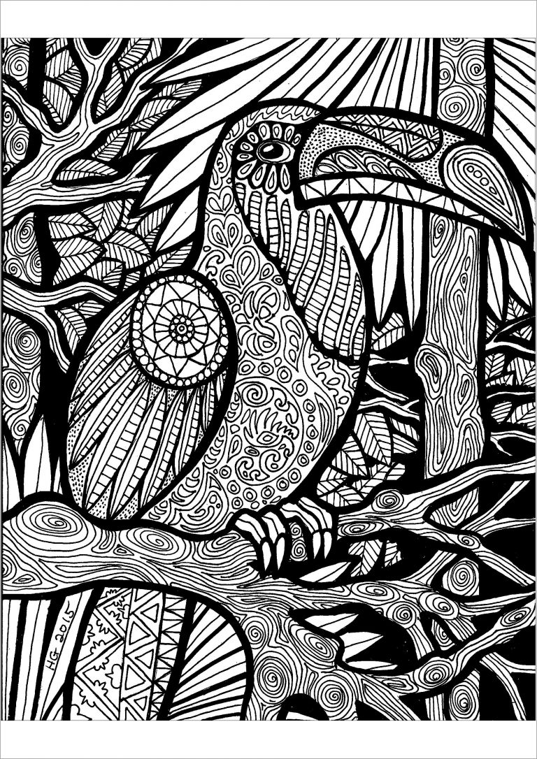 Zentangle toucan Art Adult Coloring Pages - ColoringBay