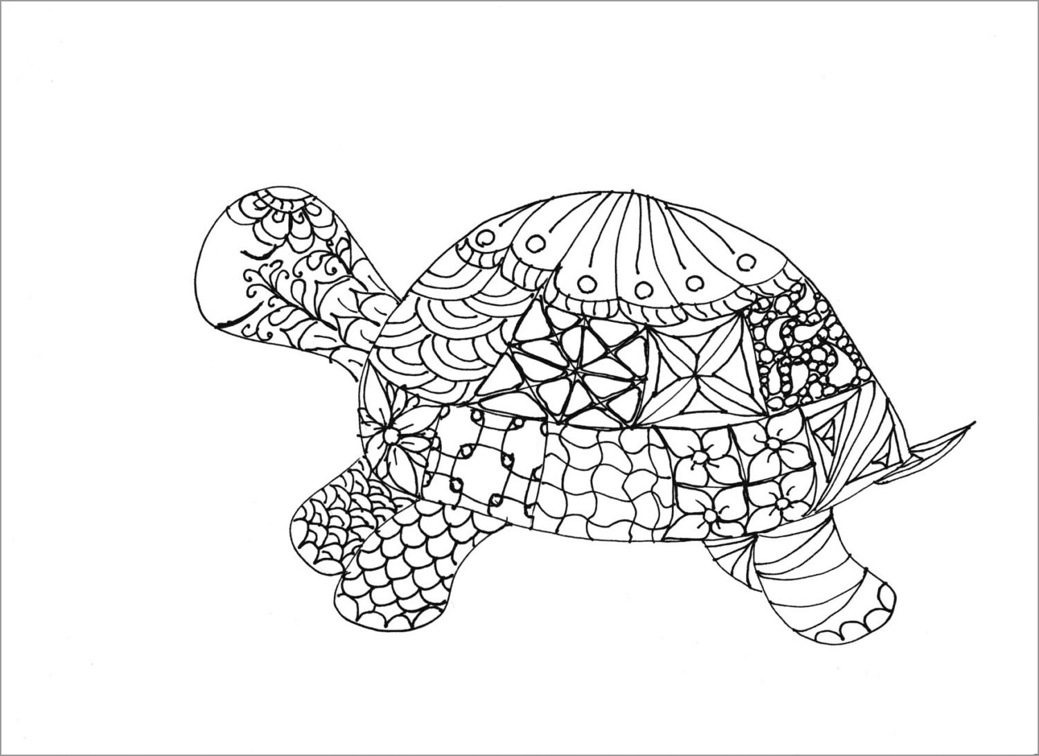 Zetangle Mandala tortoise Coloring Page for Adult